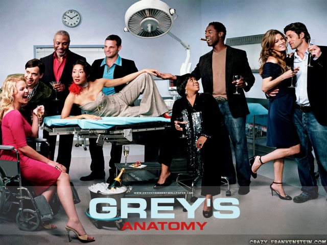 greys anatomy The first character I fell in love with Meredith Grey my 